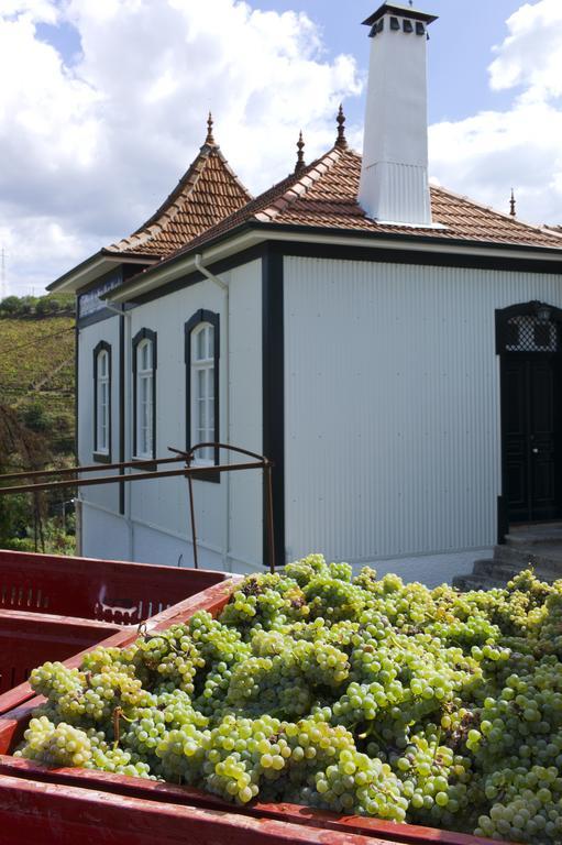 Gasthaus Casa De Cambres Lamego Exterior foto